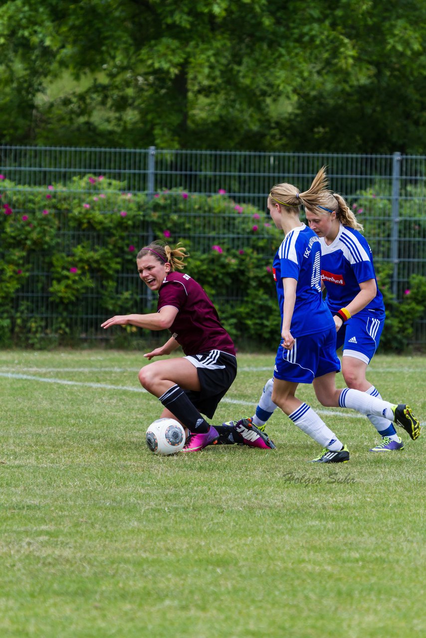 Bild 403 - Frauen FSC Kaltenkirchen : SG Wilstermarsch : Ergebnis: 1:1